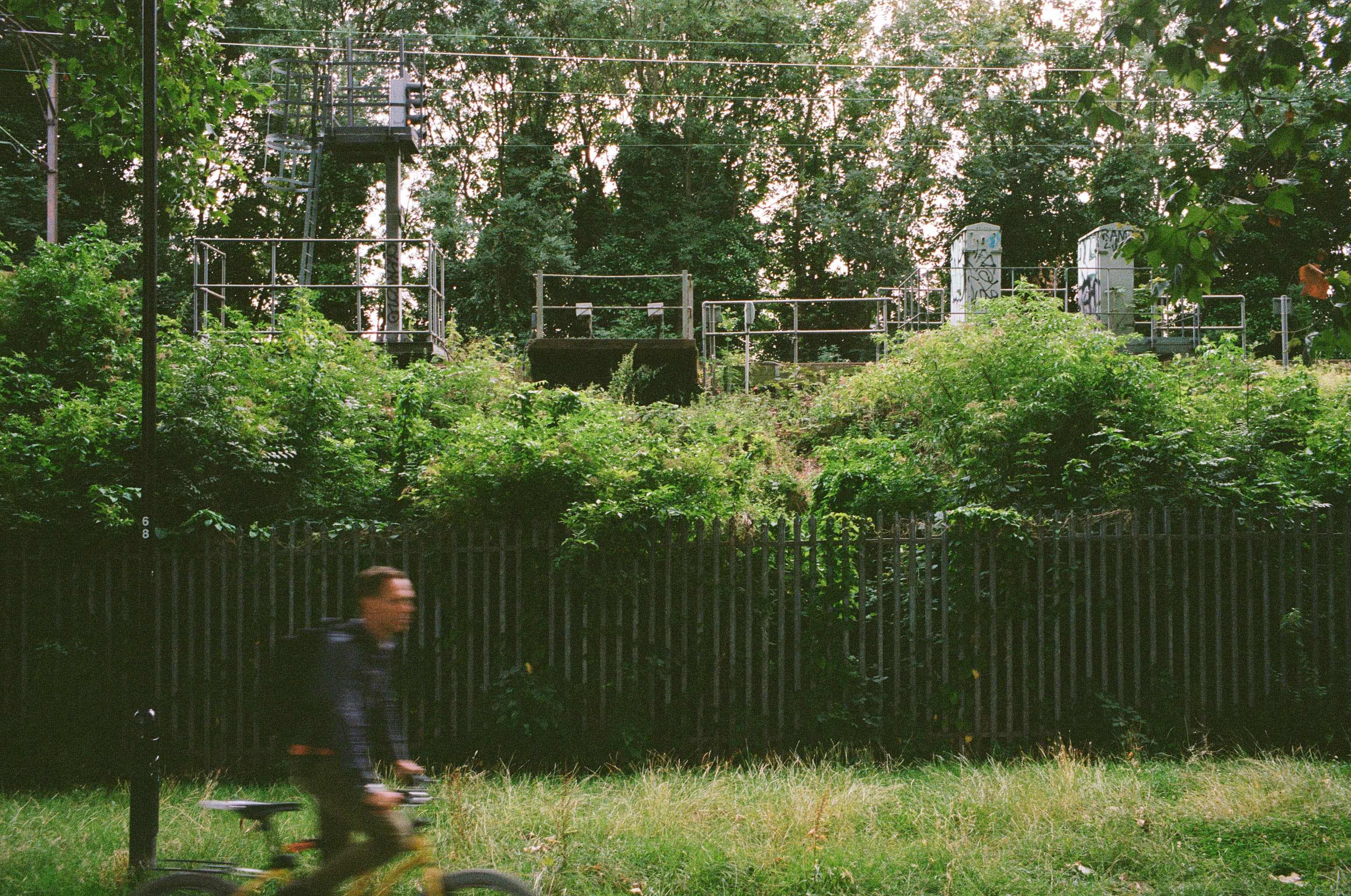 a green field in london with a biker passing by