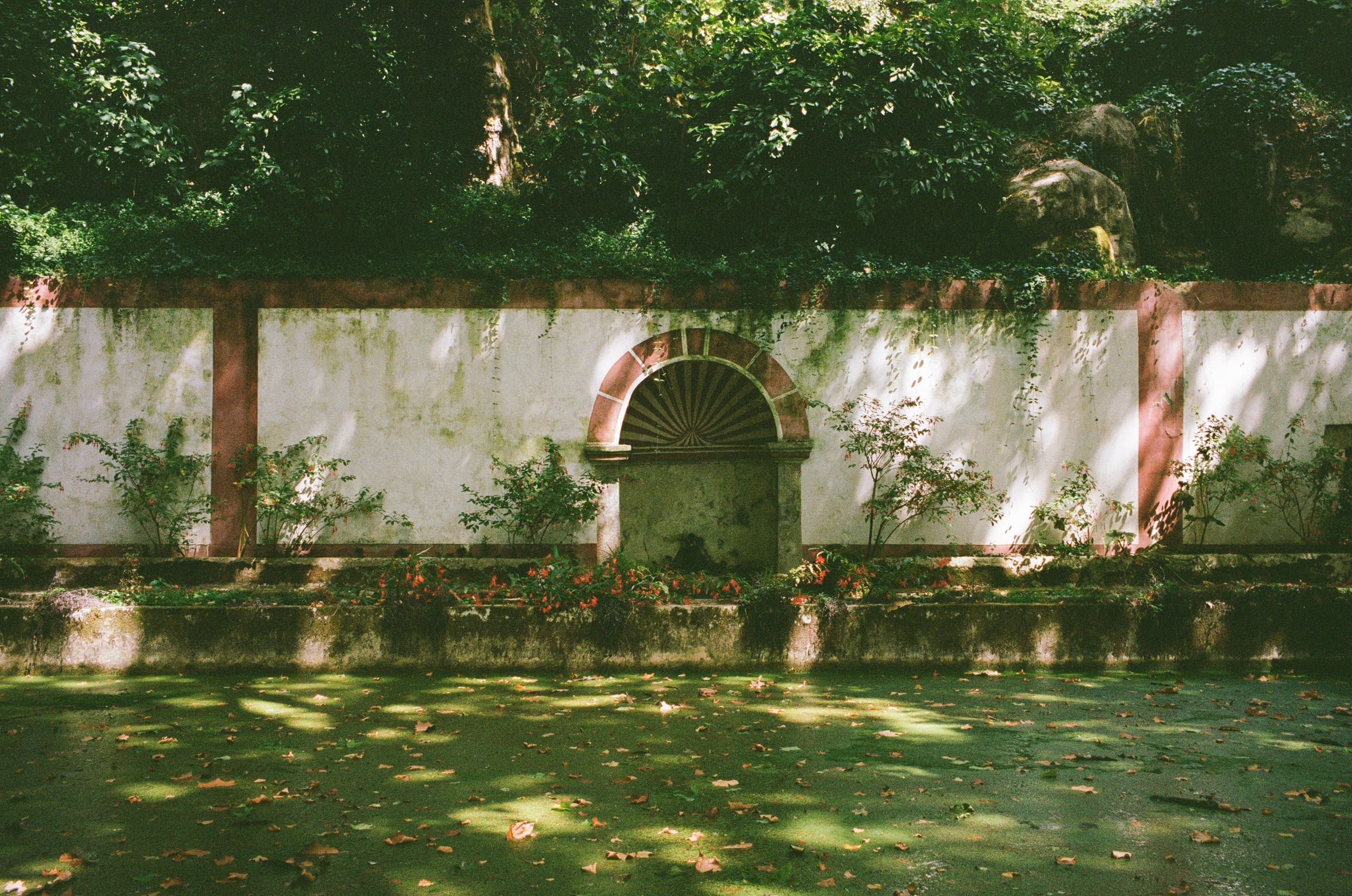 a green pond in sintra garden in Portugal